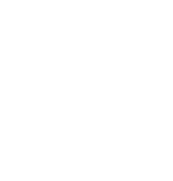 Risk Summary